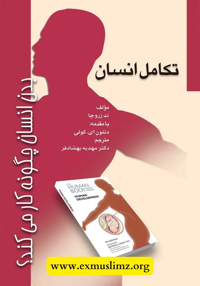 بدن انسان چگونه کار می‌کند؟ تکامل انسان