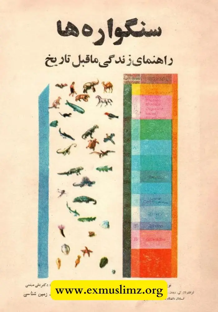 سنگواره ها - راهنمای زندگی ماقبل تاریخ